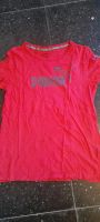 Puma Damen T-Shirt Wuppertal - Langerfeld-Beyenburg Vorschau