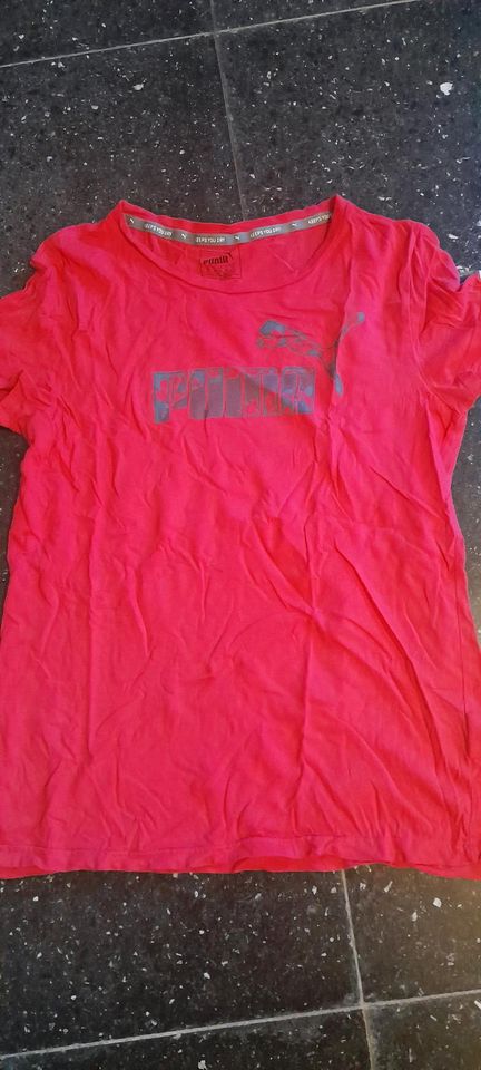 Puma Damen T-Shirt in Wuppertal