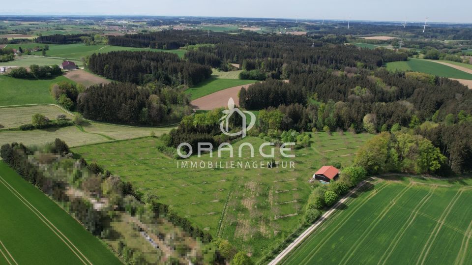 ***4 ha Paradies inkl. Schwimmteich-Oase, 200m² Halle, 65m Brunnen, Strom, Walnussplantage uvm.!!*** in Aichach