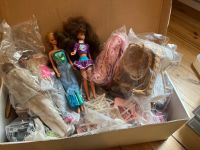 Barbie Sammlung aus den 1990ern Pankow - Prenzlauer Berg Vorschau