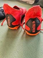 Adidas Predator West - Griesheim Vorschau