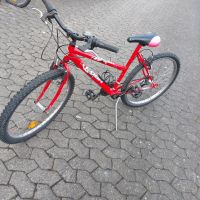 Fahrrad 26 Zoll Mountainbike für Frauen und Jugendliche Nürnberg (Mittelfr) - Aussenstadt-Sued Vorschau