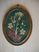 Getrocknete Blumen im Messingrahmen Vintage Baden-Württemberg - Kirchheim unter Teck Vorschau