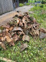 Anzünd  Holz zu verschenken Nordrhein-Westfalen - Hückelhoven Vorschau