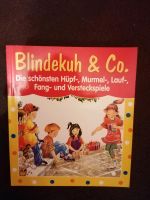 Blindekuh & Co.  Kinderspiele für Geburtstage, Feste Sachsen - Riesa Vorschau