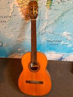 Gitarre Gianini GN 70 aus Brasilien Baujahr 1972 Rheinland-Pfalz - Schweich Vorschau