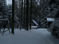 Ferienhaus mit Haustier Thüringer Wald Thüringen - Erfurt Vorschau