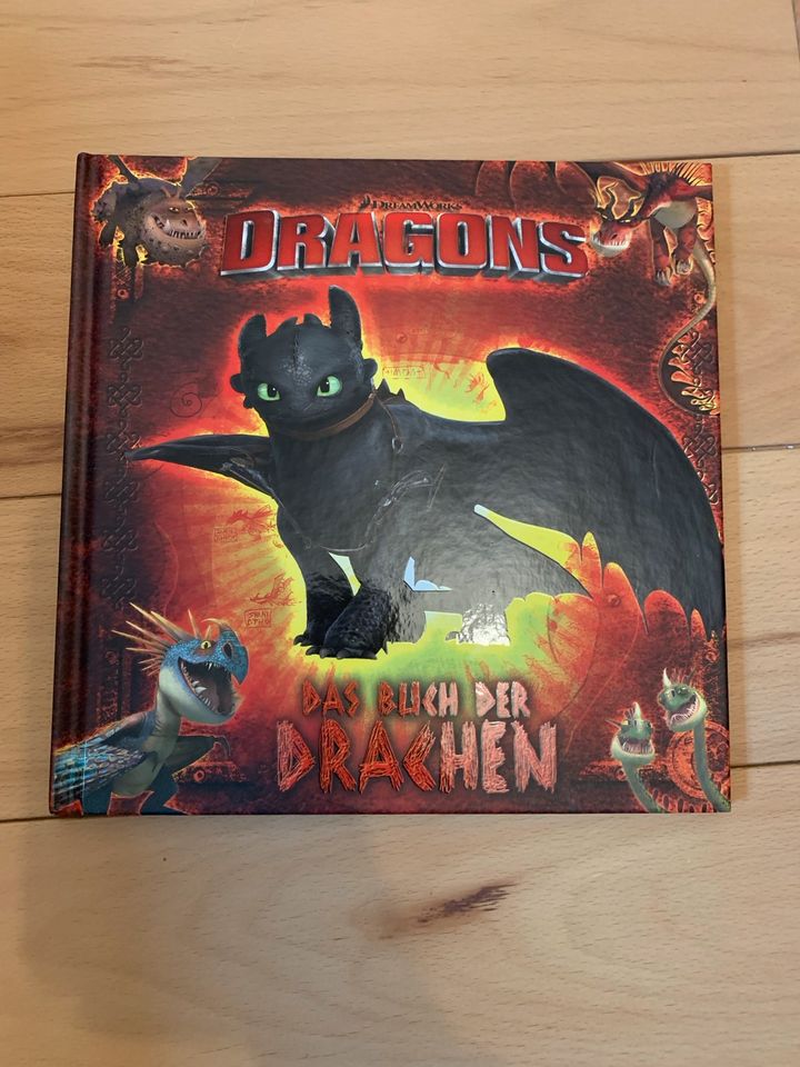 Dragons, Das Buch der Drachen in Dietmannsried