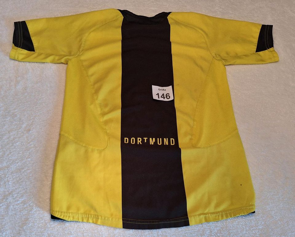 Borussia Dortmund Nike Trikot mit Autogramm Größe 146 in Teningen