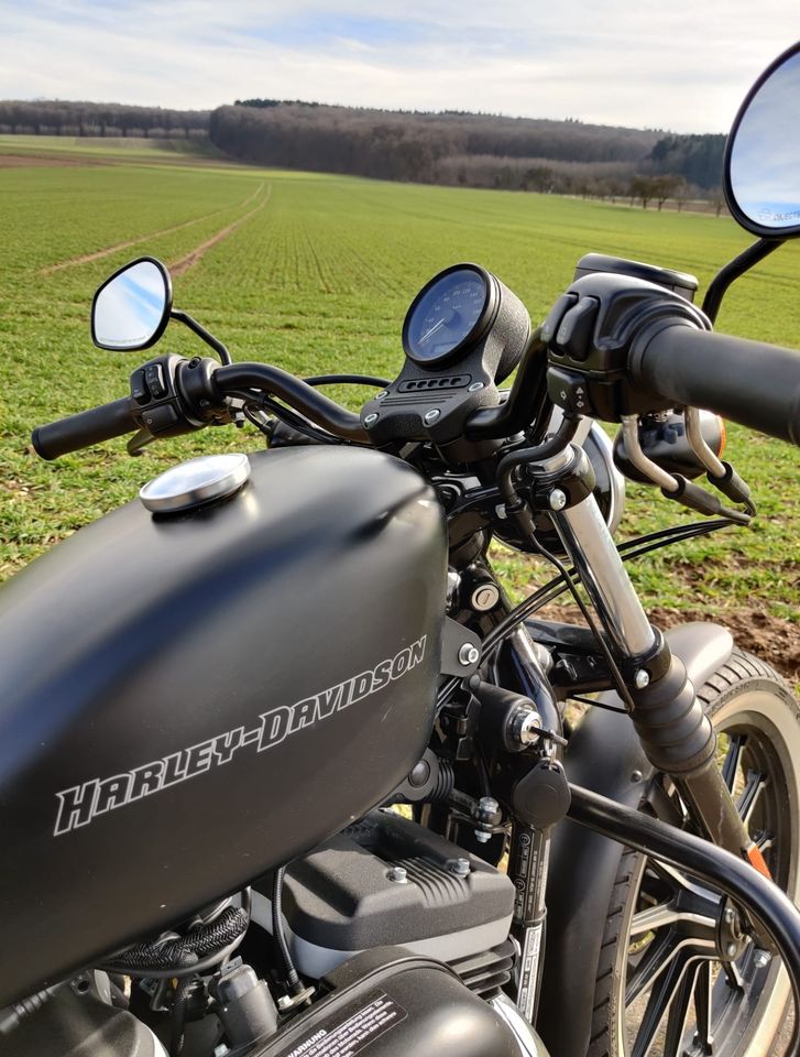 Harley Davidson Sportster Iron 883 2400km! Penzl Auspuff Chopper in Untermarchtal