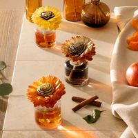 Scentsy Duftblume Herbstkollektion Stunning Sunflower Baden-Württemberg - Böhmenkirch Vorschau