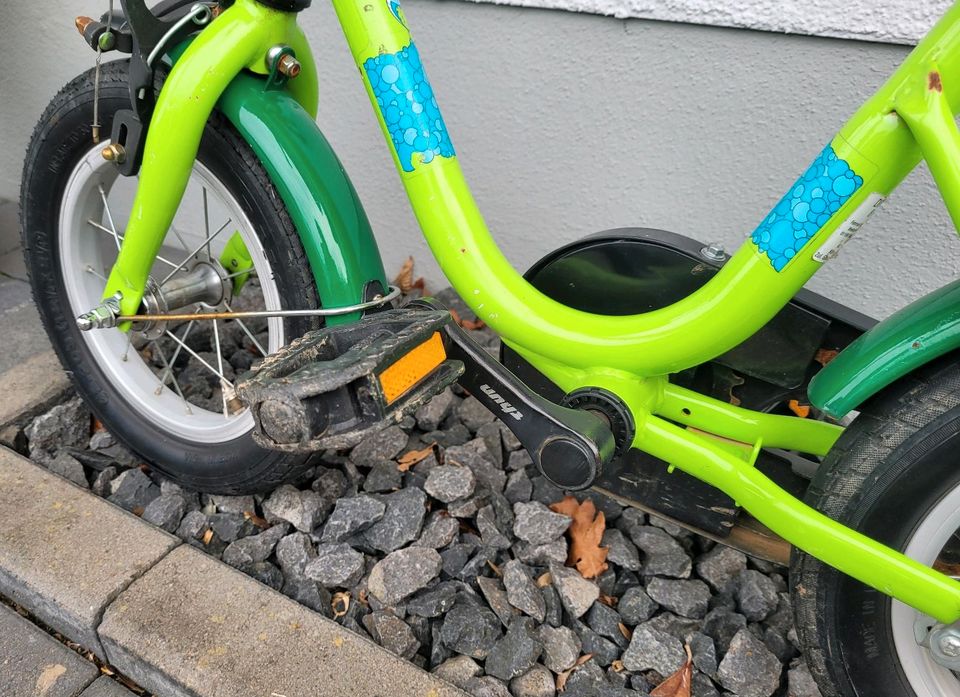Bellini Kinder Fahrrad Drachenfreund grün in Luxem