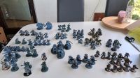 Space Wolves Armee Warhammer 40k Hessen - Dreieich Vorschau