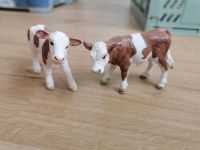 Schleich Kälber Schleswig-Holstein - Harrislee Vorschau