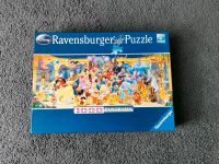 Ravensburger Puzzle 1000 Teile Panorama Disney Sachsen - Altenberg Sachs Vorschau