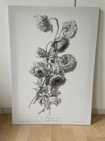 IKEA Pjätteryd Bild Blumen Wandsbek - Hamburg Eilbek Vorschau