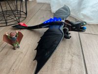 Playmobil Dragons ohnezahn Baden-Württemberg - Neubulach Vorschau