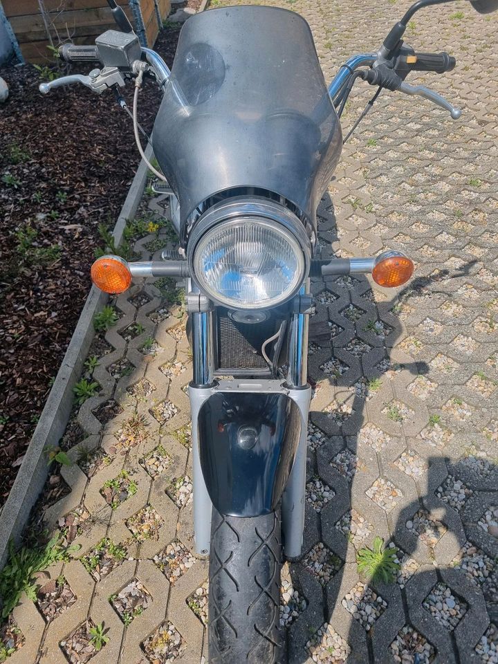 Suzuki VX800 in Teilen, Schlachtfest in Haldensleben