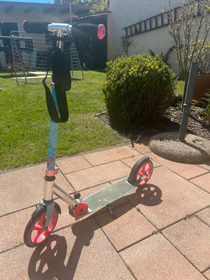 Scooter Roller in Nedlitz (b Burg b Magdeburg)