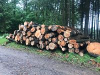 Brennholz Stammholz Nordrhein-Westfalen - Hennef (Sieg) Vorschau