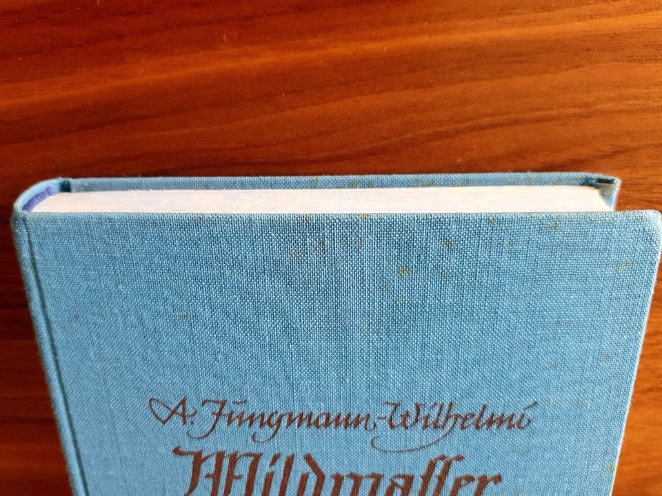Anni Jungmann-Wilhelmi, Wildwasser, Roman a.d.Salzburger Bergen in Bad Dürrheim