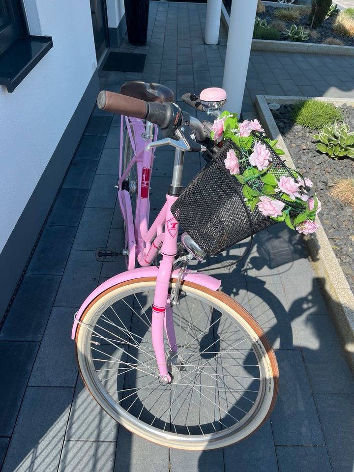 Fahrrad|Damenfahrrad|Holland Fahrrad|Cityrad in Schwandorf