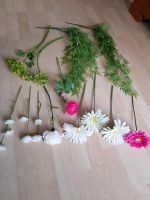 ✅ Kunstpflanzen Plastik Gerbera Efeu Rose Nordrhein-Westfalen - Moers Vorschau