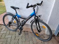 Mountainbike  - Shimano 21 Gang - Anthrazit Blau Hessen - Edertal Vorschau