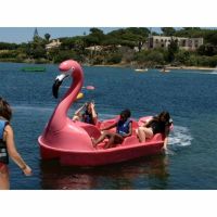 VERUS FLAMINGO (PE) - Tretboot - NEU! Hessen - Stadtallendorf Vorschau