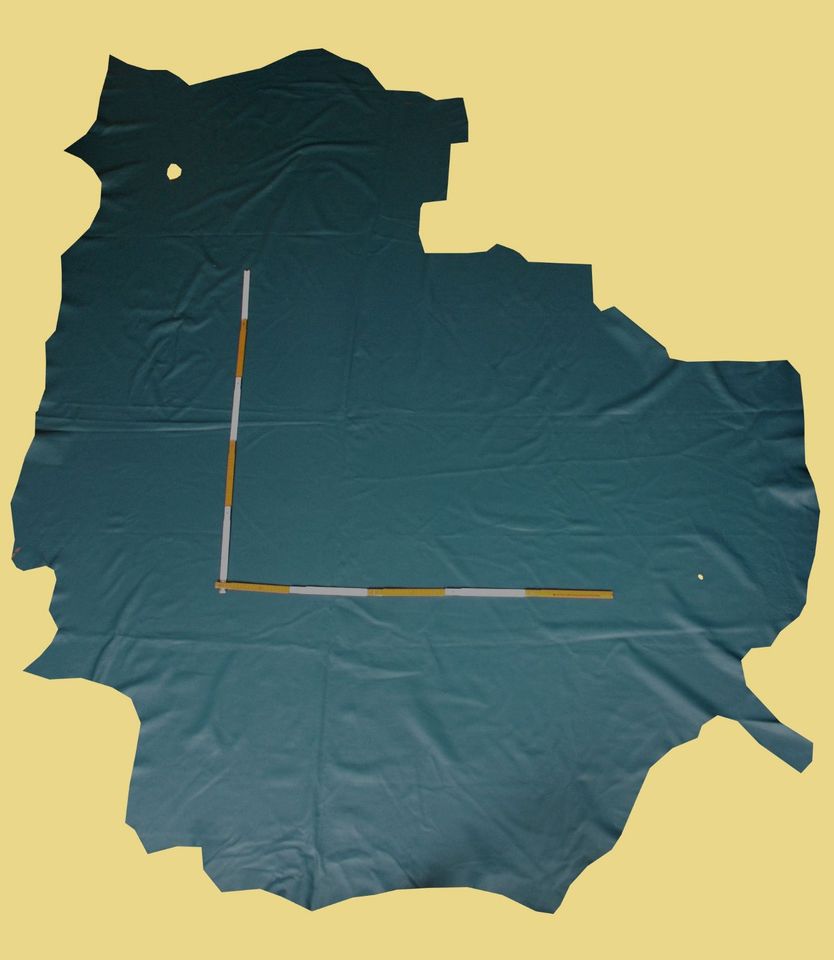 Rindleder, Anschnitt Blautanne, 4,0 m² GN 122 A Leder von CROUPON in Dresden