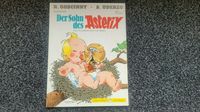 Comic der Sohn des Asterix Rheinland-Pfalz - Frankenthal (Pfalz) Vorschau