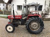 Traktor MF 155 Bayern - Schwandorf Vorschau
