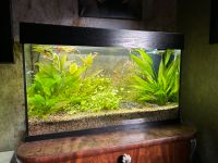 125 l Juwel Rio Aquarium / LED Niedersachsen - Coppenbrügge Vorschau