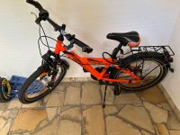 Pegasus Avanti Fahrrad 20 Zoll Nordrhein-Westfalen - Ascheberg Vorschau