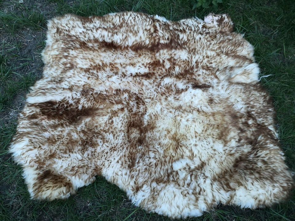 XXL Schaffell Teppich zwei vernähte Riesen Schaffelle 110-120cm! in Hamburg