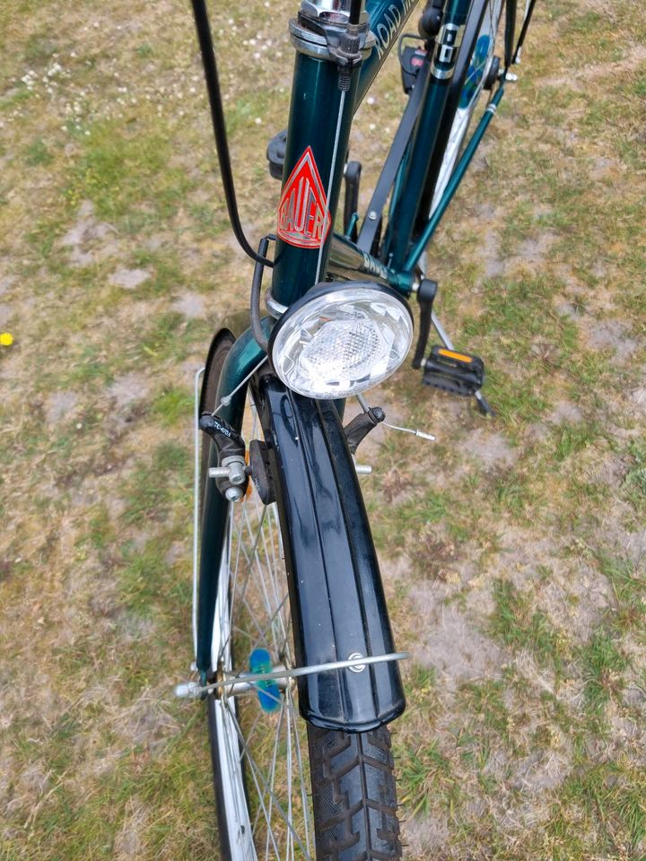 Fahrrad 28 Zoll  Rahmenhöhe 58cm in Schnakenbek