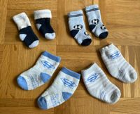 4 paar Babysocken TCM und Superman Essen - Essen-Katernberg Vorschau