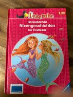 Erstlesebuch gut erhalten 1,50€ Dortmund - Aplerbeck Vorschau