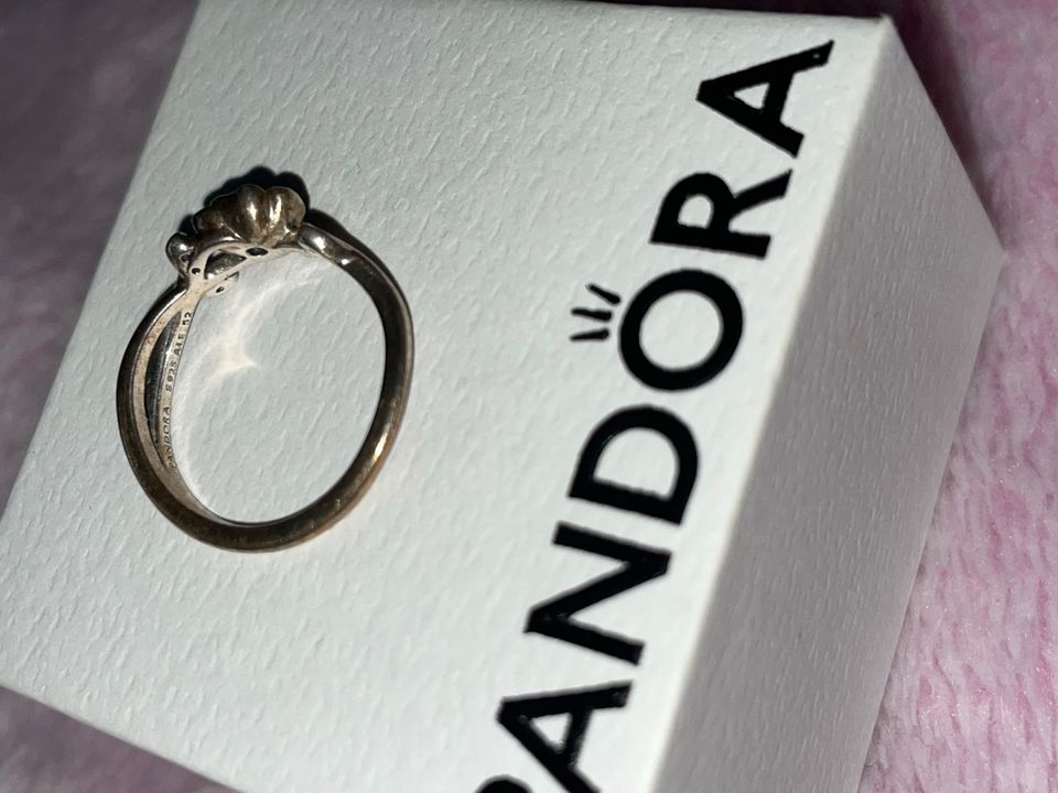 Pandora Ring Silber in Königs Wusterhausen