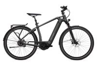 Reduziert *NEU* FLYER E-Bike Gotour 6 7.43 // Zweiradhaus Grave Niedersachsen - Hagen am Teutoburger Wald Vorschau