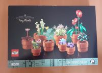 Lego 10329, Mini Pflanzen Saarland - Illingen Vorschau