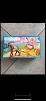 Playmobil Fairies 9136, DHL Aktion Rheinland-Pfalz - Eich Vorschau