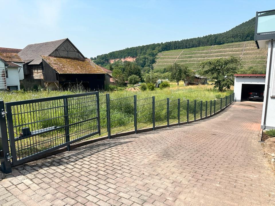 Doppelstabmattenzaun Gittermattenzaun Tor Sichtschutz Gabionen in Erlenbach am Main 