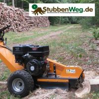 Wurzelfräse Stubbenfräse Baumstumpf entfernen Eutin Baum fällen Schleswig-Holstein - Raisdorf Vorschau