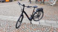 NEURAD E-Bike Koga E-Nova- Evo CP in XS,S,M, L und XL / Riemen Nordrhein-Westfalen - Everswinkel Vorschau