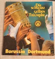 BVB 09/ Borussia Dortmund, die schwarz-gelben Triumphe Nordrhein-Westfalen - Fröndenberg (Ruhr) Vorschau