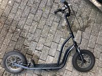 Sportroller Stiga Air Scooter 12 zoll schwarz Roller Tretroller Köln - Chorweiler Vorschau