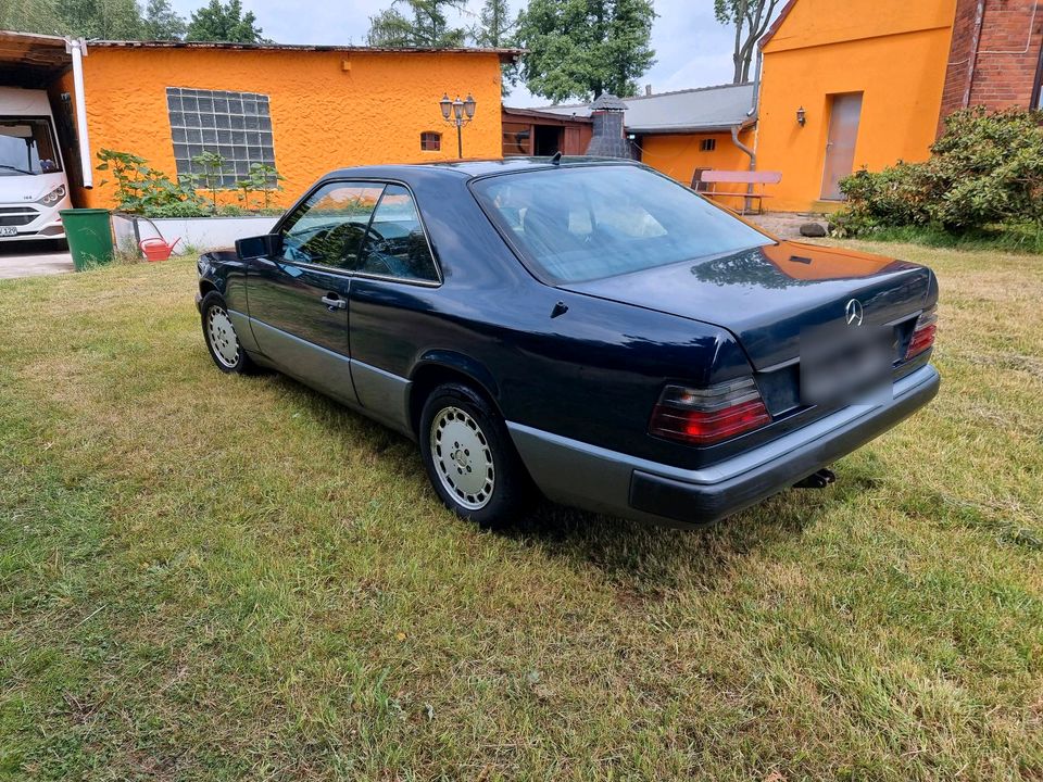 Mercedes W124 230CE C124 1988 in Stuhr