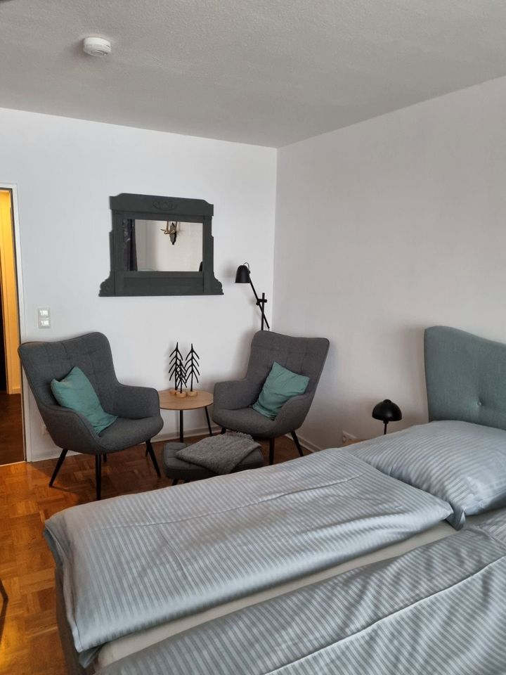 1,5 Zimmer Appartement in guter Lage von St. Andreasberg in St. Andreasberg