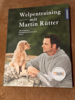 Welpentraining mit Martin Rütter Nordwestmecklenburg - Landkreis - Grevesmuehlen Vorschau
